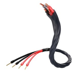 In-Akustik kõlarikaabel Exzellenz Speaker 415, 2 Easy Plug - 4 Easy Plug, 5 m, 2 tk